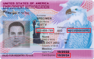 "United States of American Employment Authorization Card. On the image are three read box highlighting the following three pieces of information: 1. USCIS#, Category card #, and Card Expiration date."