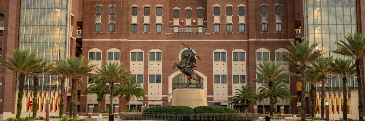 image of unconquered statue