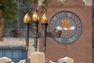 torches